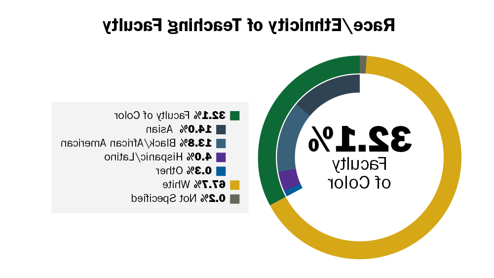 Teaching Faculty Race